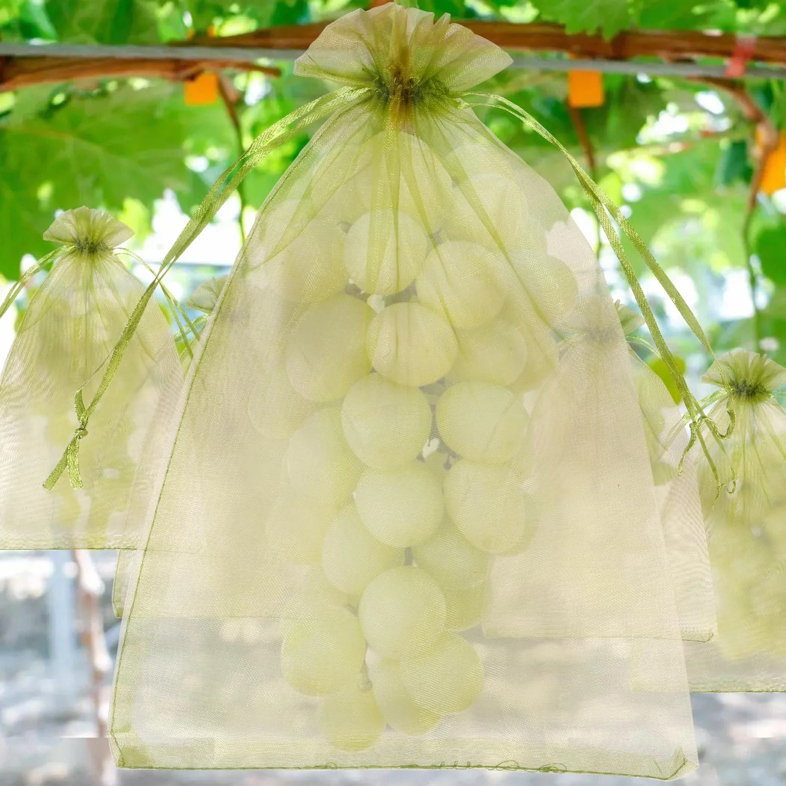 Sacs de protection pour fruits 23 x 17 cm filet raisin cordon serrage maille fine respirante