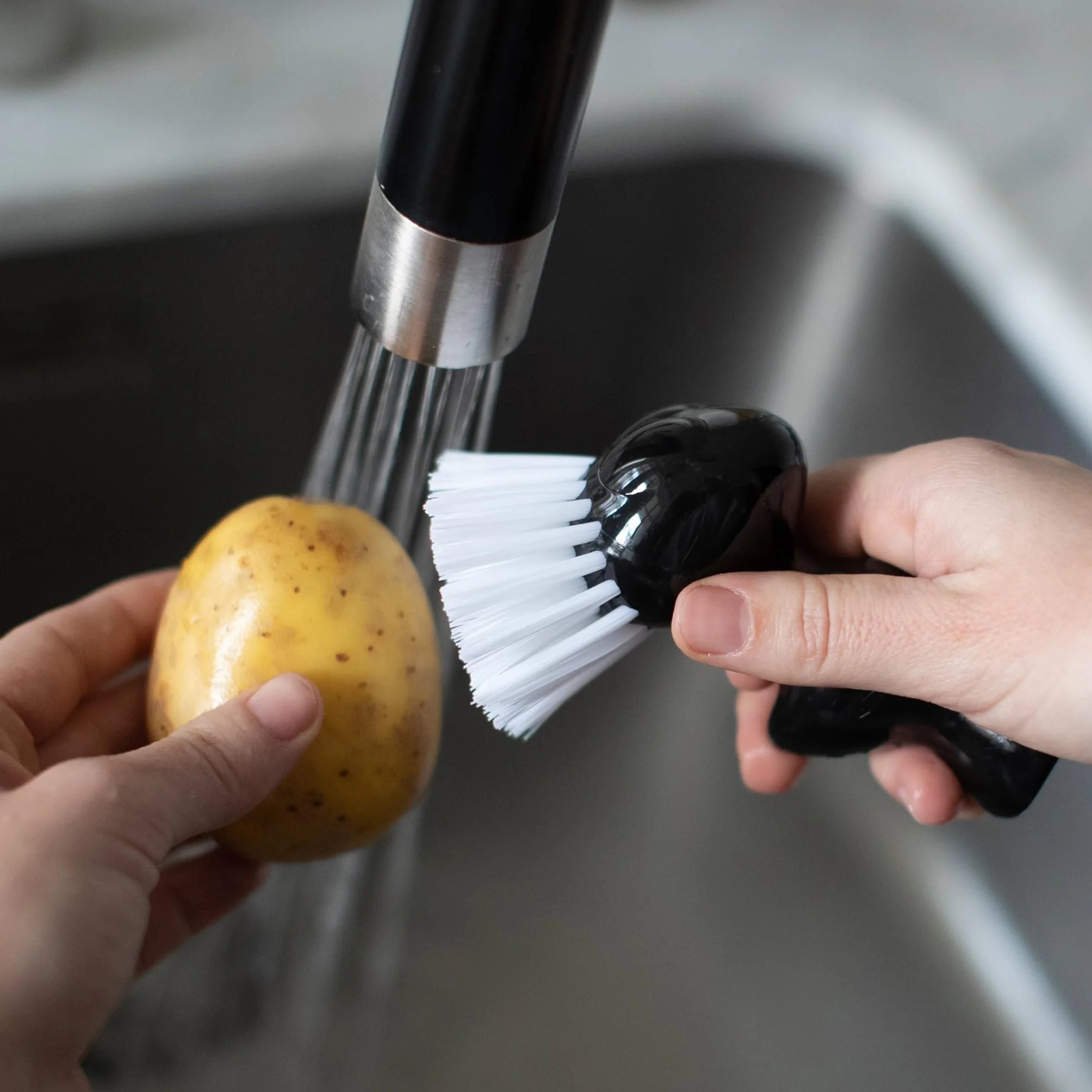 Koziol Tweetie Brosse à légumes et fruits Plastique incassable bleu fort