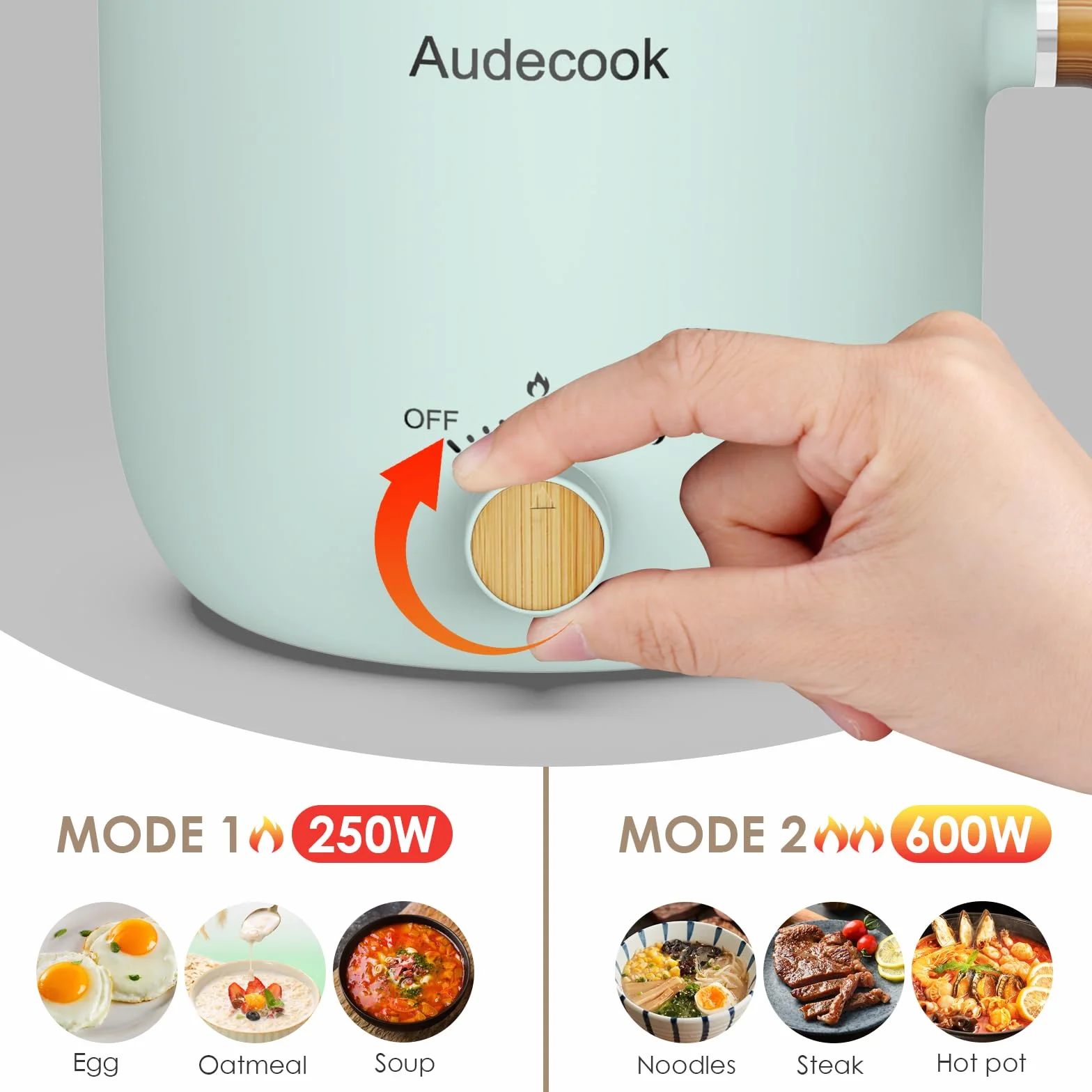 Audecook Hot Pot électrique 1.5L Portable Cuiseur à Vapeur Multifonction Vert