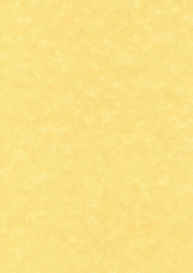 Decadry PCL1600 Parchemin Or 21x29,7 cm 95 g Boîte de 100 feuilles