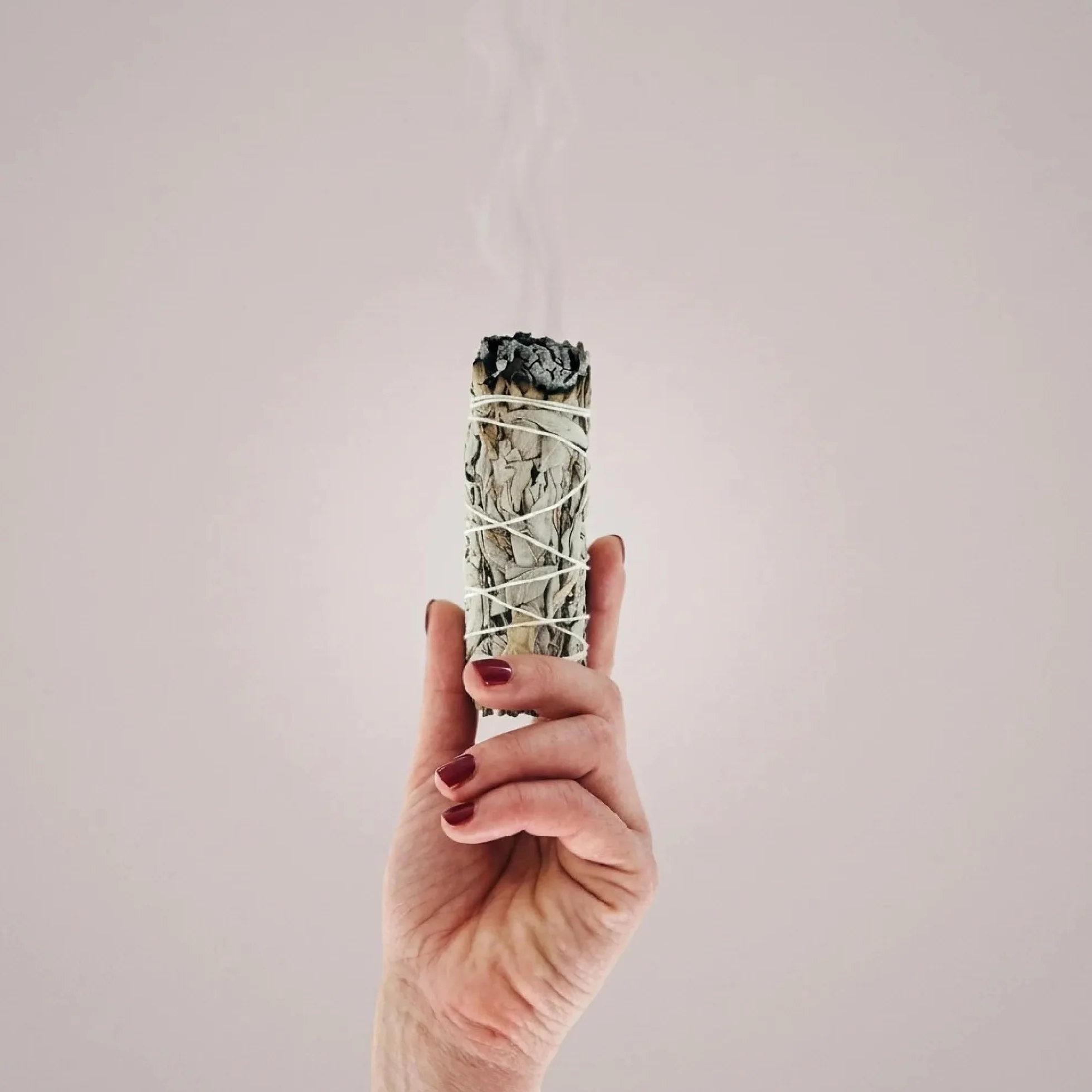 Coffret Sauge Blanche Purification Palo Santo Stick Encens Naturel Méditation Bougie Rituels 1 Sauge Blanche 1 Palo Santo
