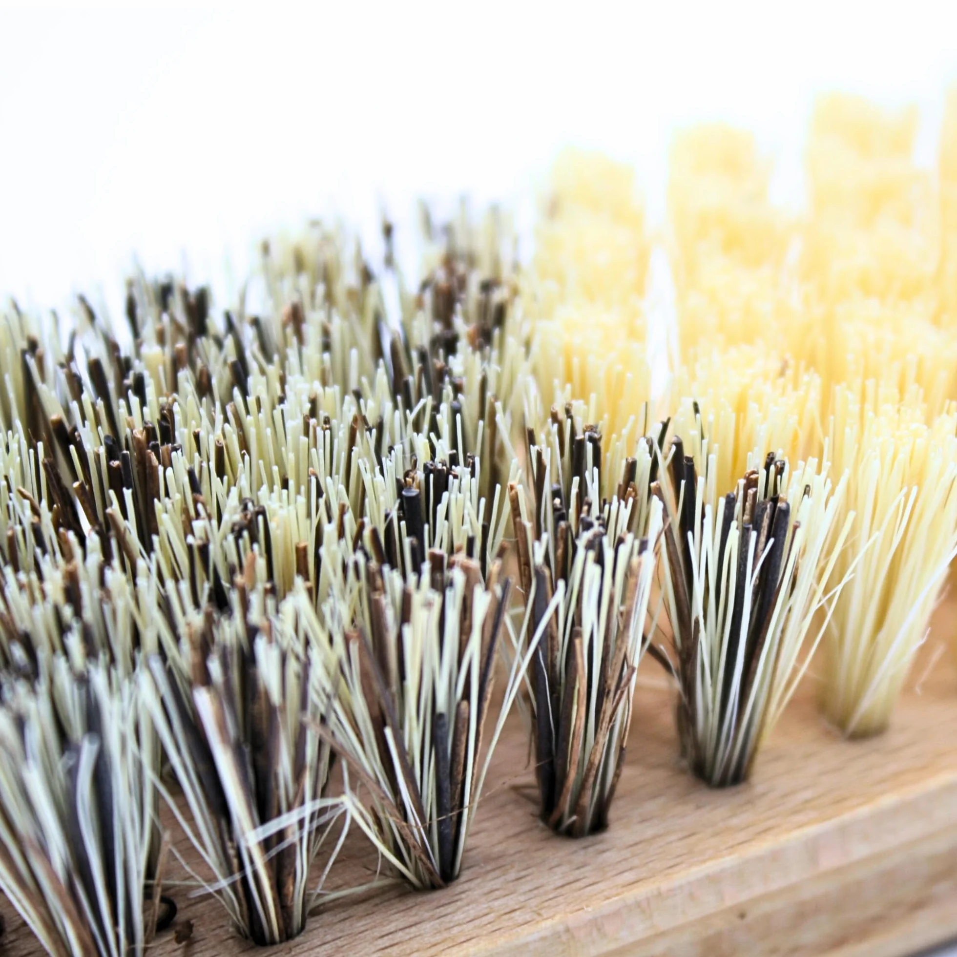 Brosse à légumes en hêtre pour fruits et crudités - Design ergonomique - Brosse de cuisine en bois