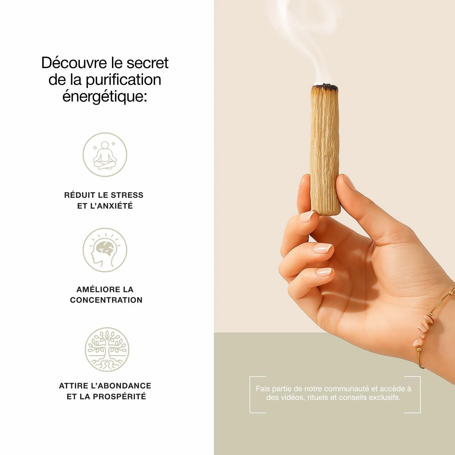 Coffret Premium Rituel Nettoyage Énergétique Palo Santo Purification Sauge Blanche Bracelet Sélénite Maison