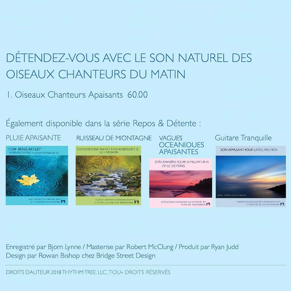 Chants d’oiseaux apaisants – Enregistrement pour méditation, relaxation, bruit blanc naturel