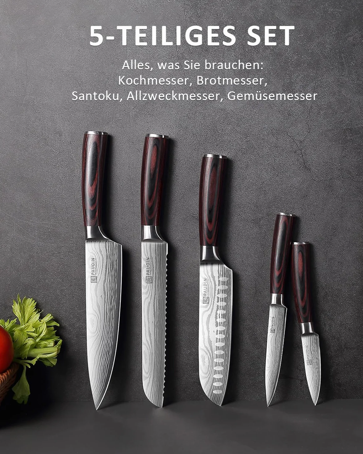 PAUDIN Set Couteau Cuisine Professionnel 5 Pièces Acier Inoxydable Couteau Chef Santoku Bois
