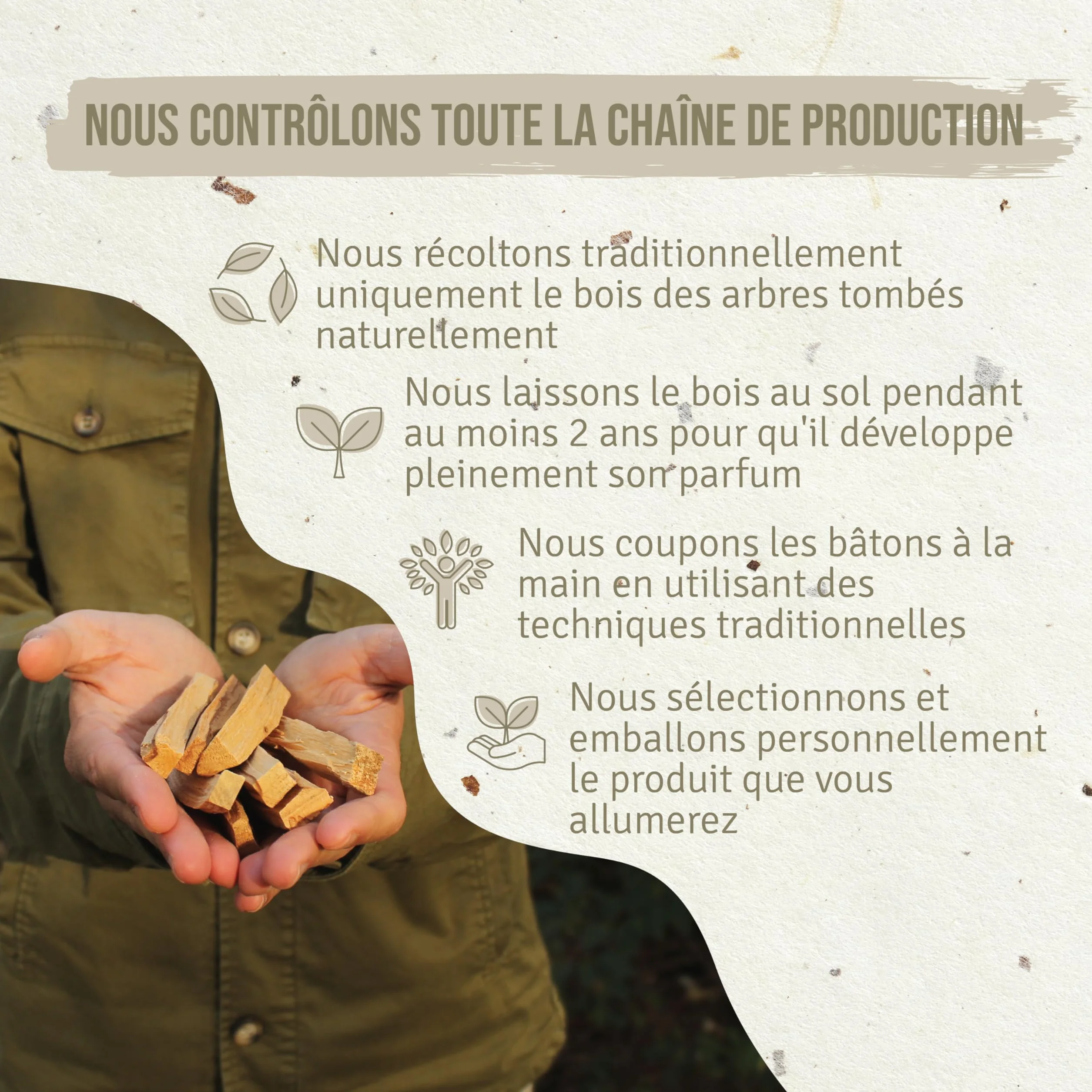 Bursera Graveolens Palo Santo Batons Ayabaca 8 Sztuk Encens Naturel Purification Maison Qualité Supérieure