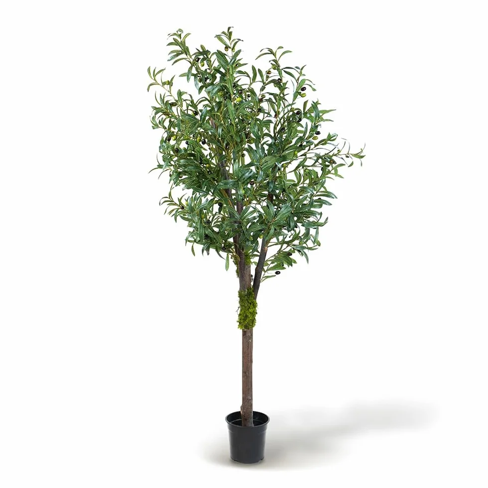 Blaine Olivier Sauvage 180cm Grande Plante Artificielle Décorative pour Intérieur Extérieur