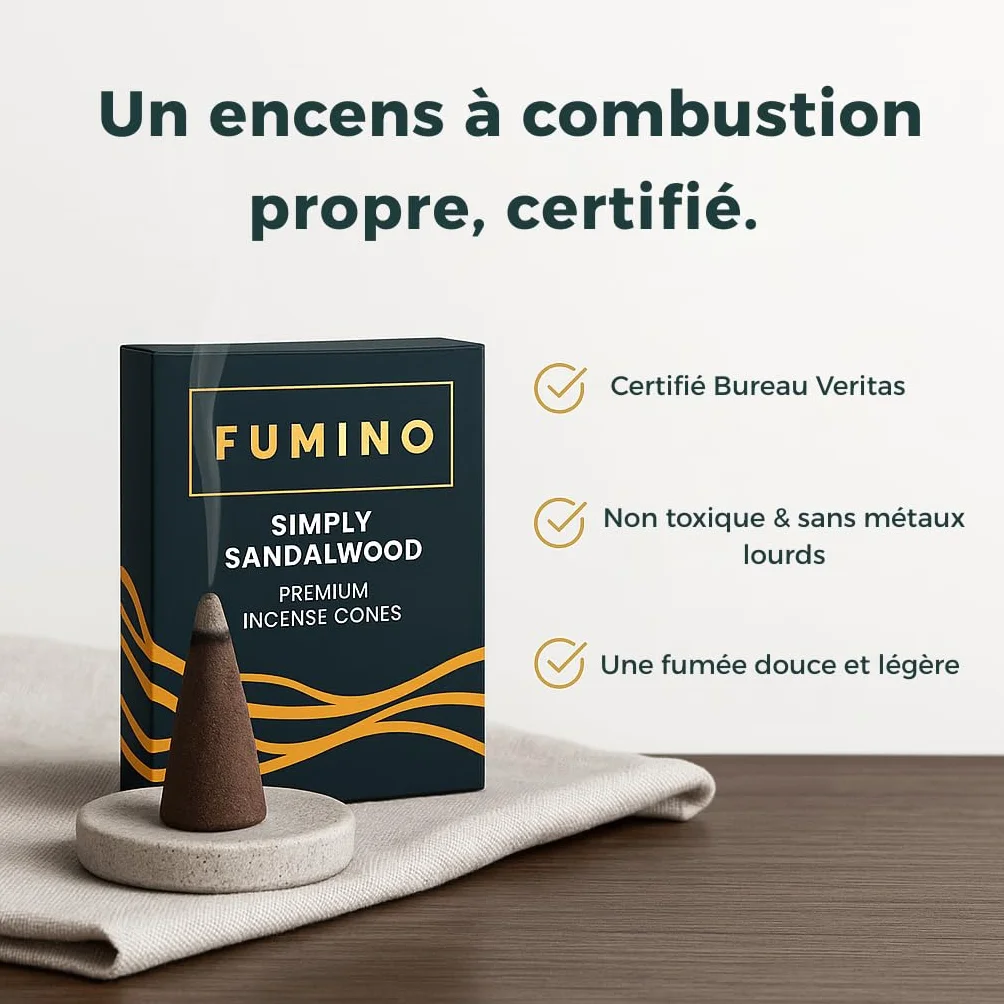 Fumino Encens Cone Naturels Faits Maison Lot 6 boîtes 90 cônes Masala Agarbatti Joss