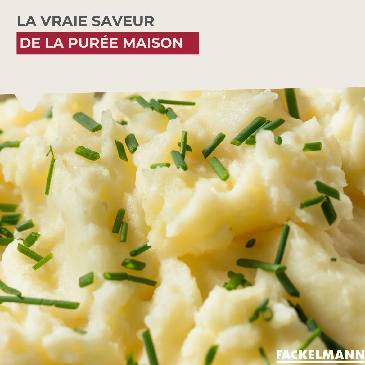 Fackelmann Presse-purée à levier, Acier inoxydable, 29 x 10 x 8,5 cm
