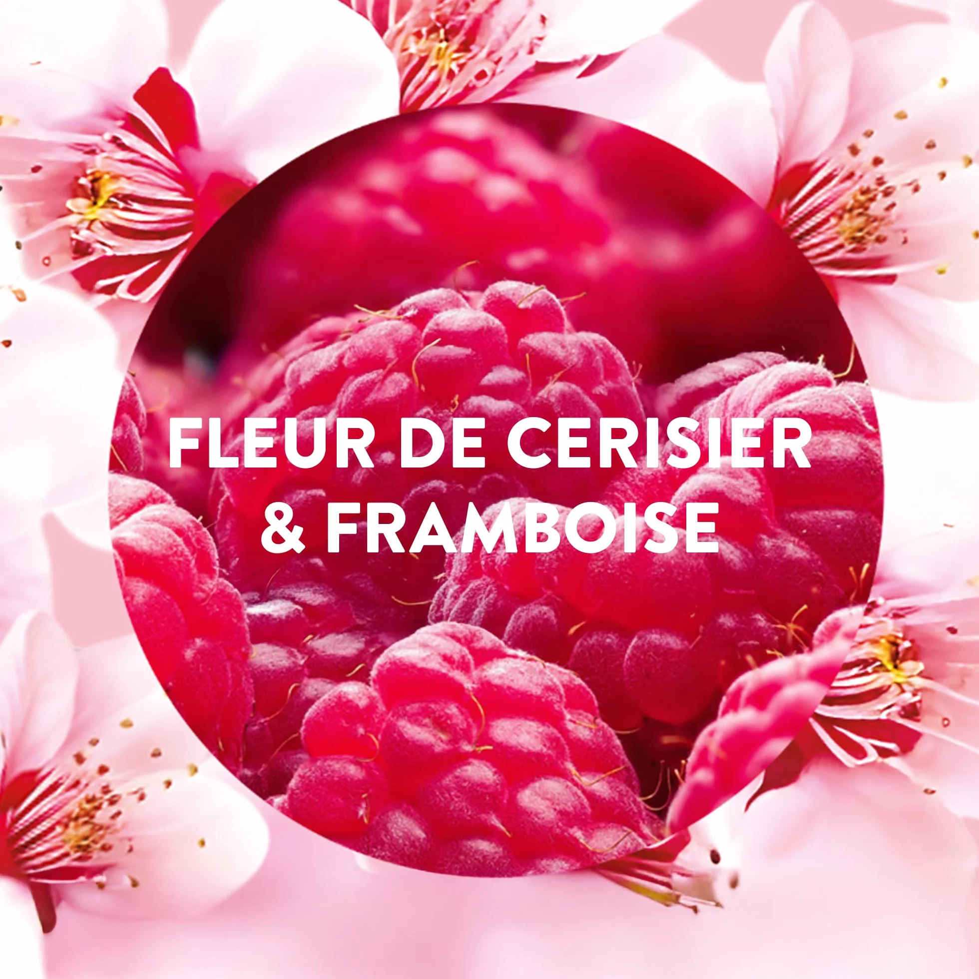 Air Wick Desodorisant Maison Recharge Diffuseur Electrique Fleur de Cerisier et Framboise 3 x 19 ML