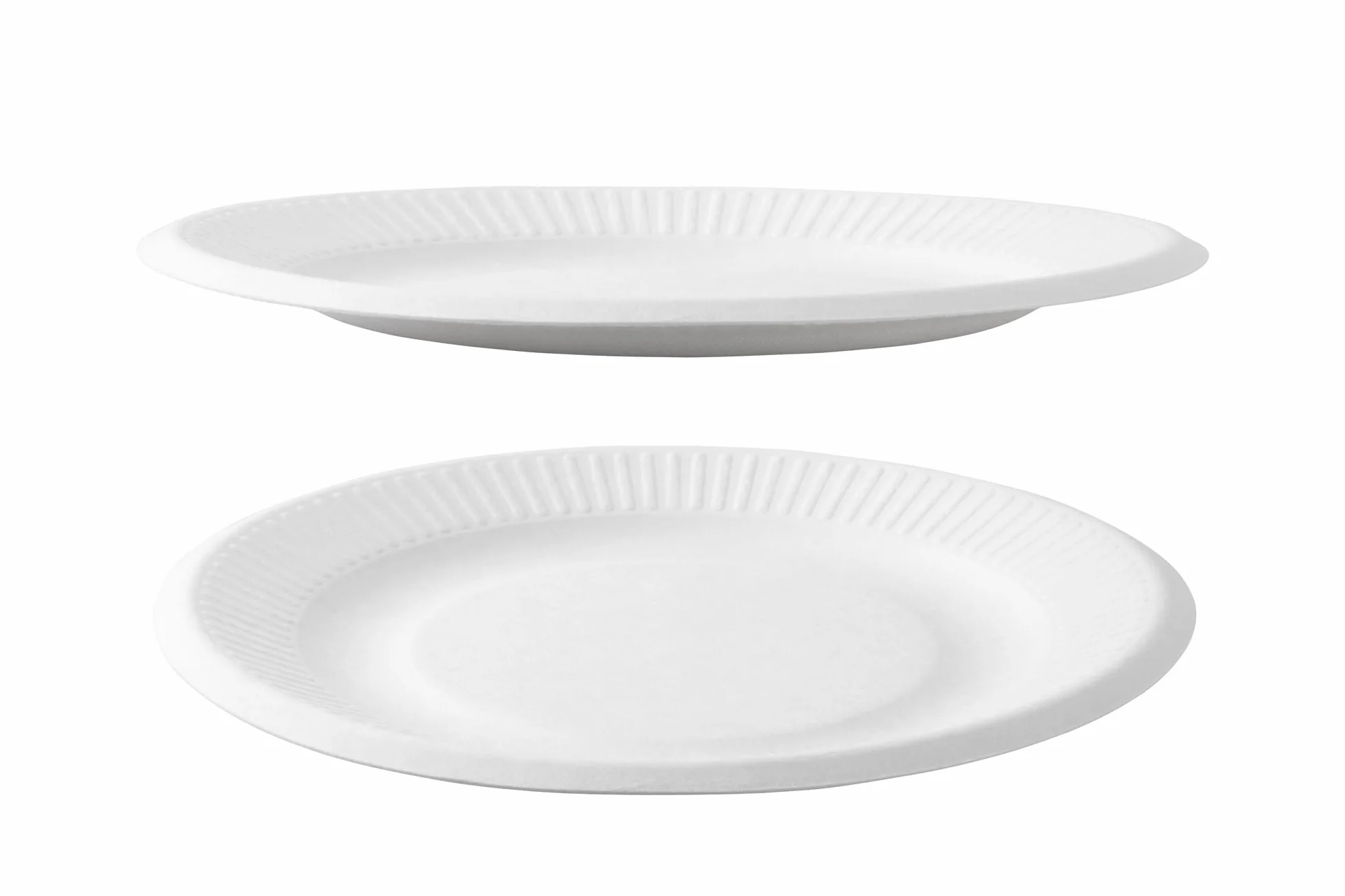 Idena Assiette de fête blanche 100 pièces 23 cm écologique compostable