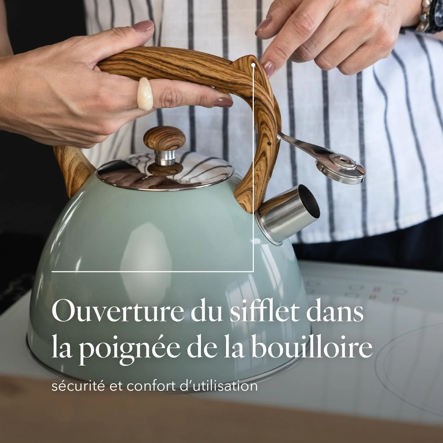 Bouilloire Inox 2,5 L Sifflante FLORINA FRANK Vert Mat Non Électrique Induction Gaz