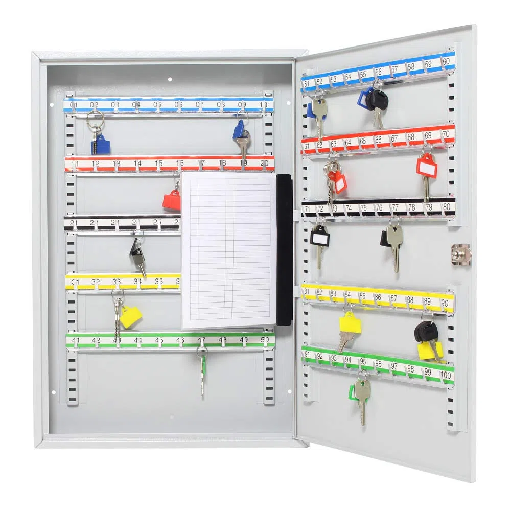 Rottner 1508 S100 Armoire à clés avec Crochets réglables pour 100 clés Gris Clair