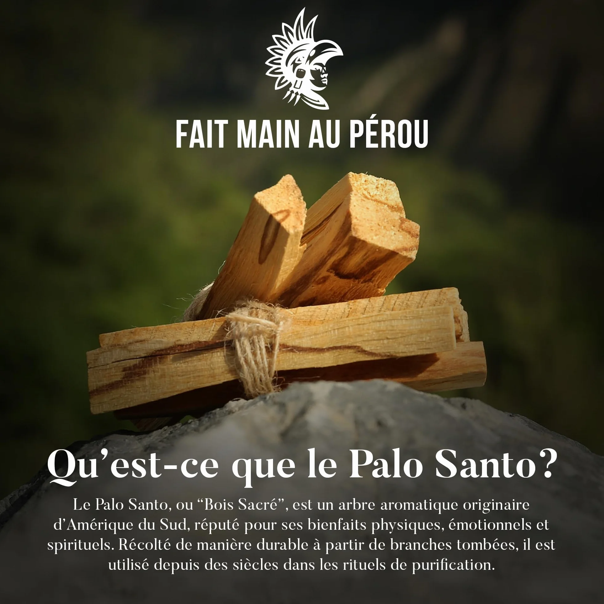 Bois de Palo Santo XL 100gr (9-13 pc) Naturel d'Amérique du Sud Purification Relaxation