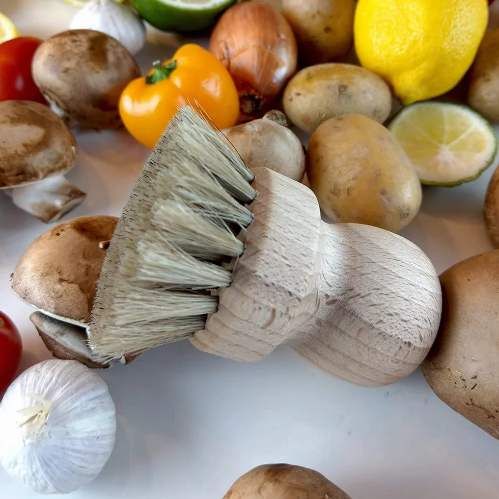 HOFMEISTER lot de 2 brosses à champignons en crin de cheval et bois de hêtre