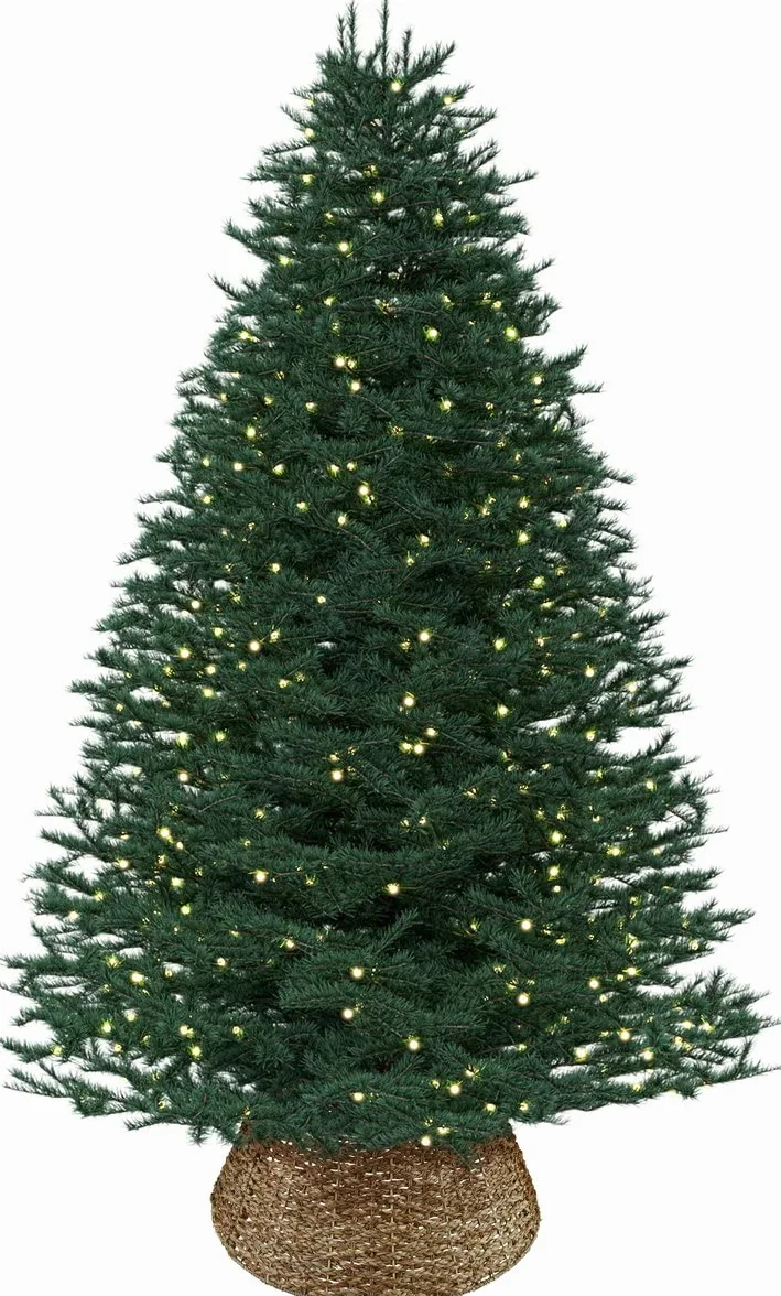 Jupe de sapin de Noël Meisterhome Modèle 3 jonc de mer naturelle 60 cm