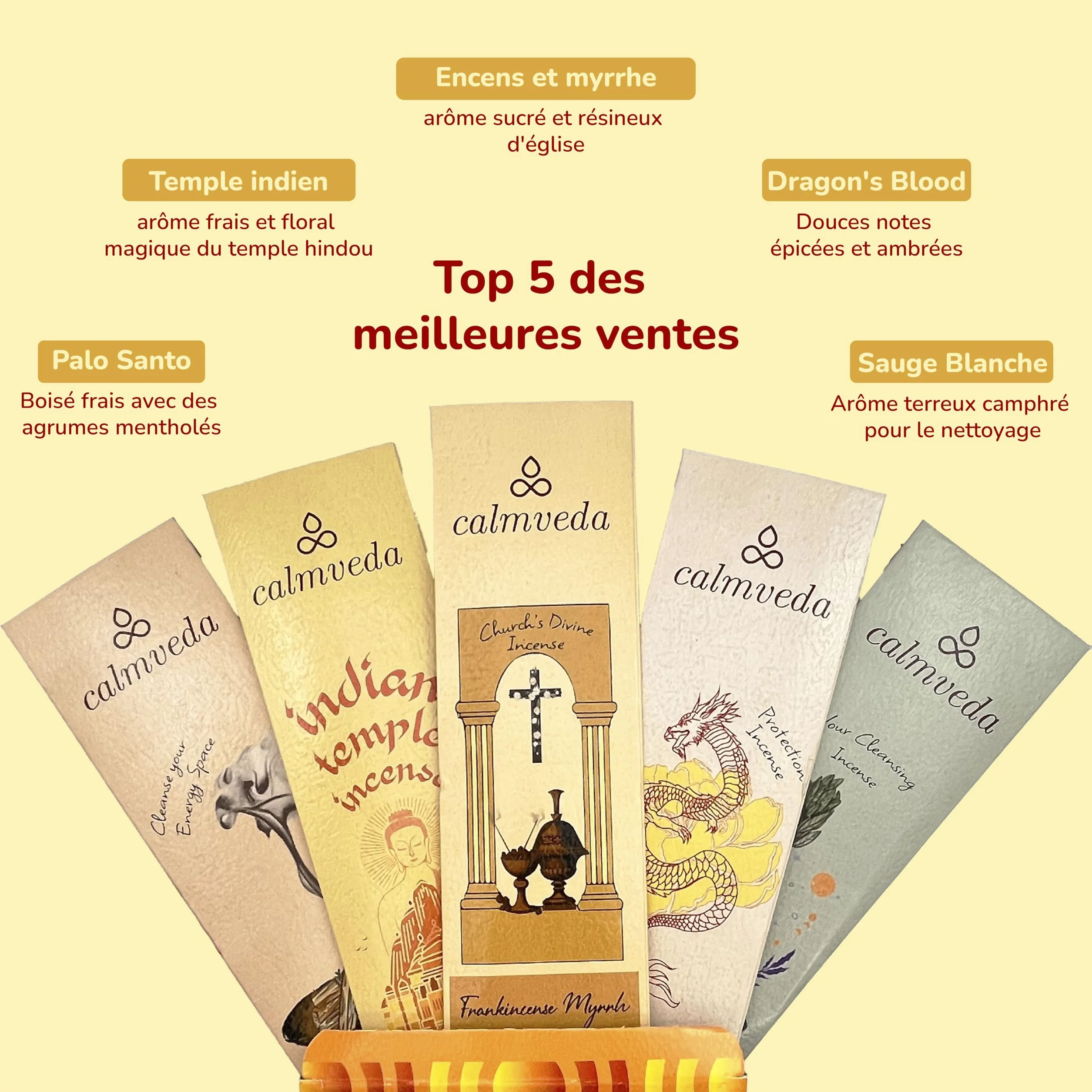 Baton Encens Naturel Pack Variété 90g sans Charbon Fabriqué à partir de Fleurs Recyclées Frankinscène Myrrhe Sauge Blanche Palo Santo Sang de Dragon