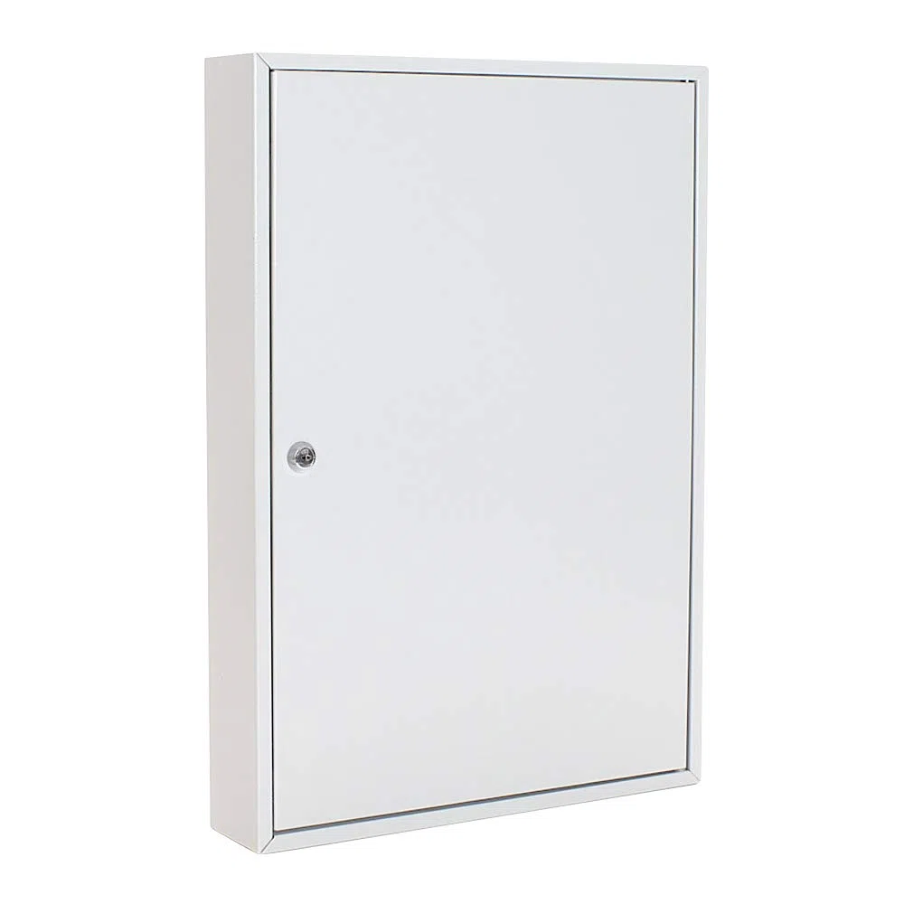 Rottner 1508 S100 Armoire à clés avec Crochets réglables pour 100 clés Gris Clair