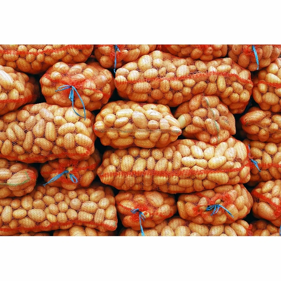 Filets Orange 50 cm x 78 cm 30 kg avec Cordon de Serrage Mailles Raschel