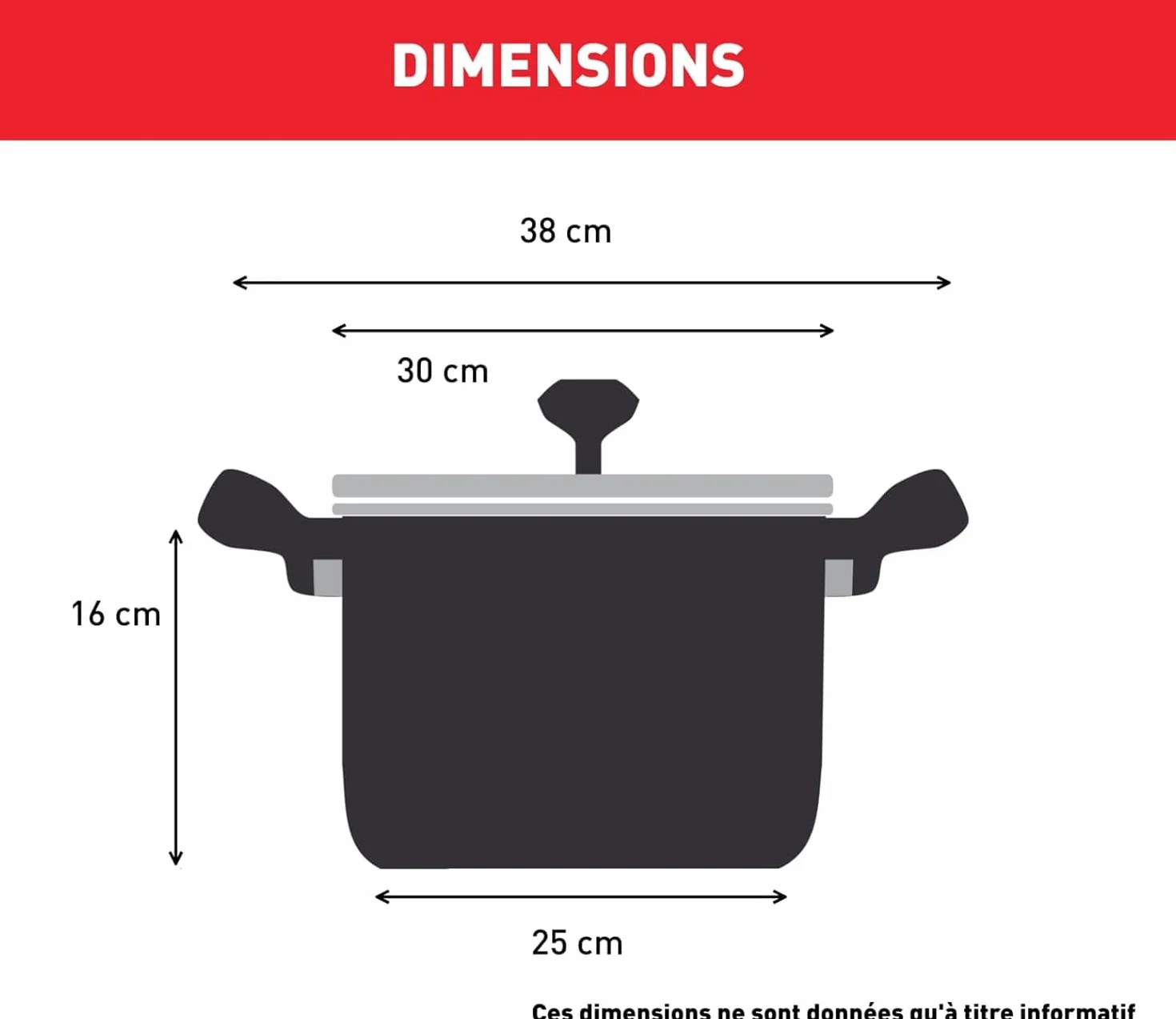 Tefal Intuition XL Marmite 36 cm 17.5 L Induction Acier inoxydable 18/10 Couvercle en verre
