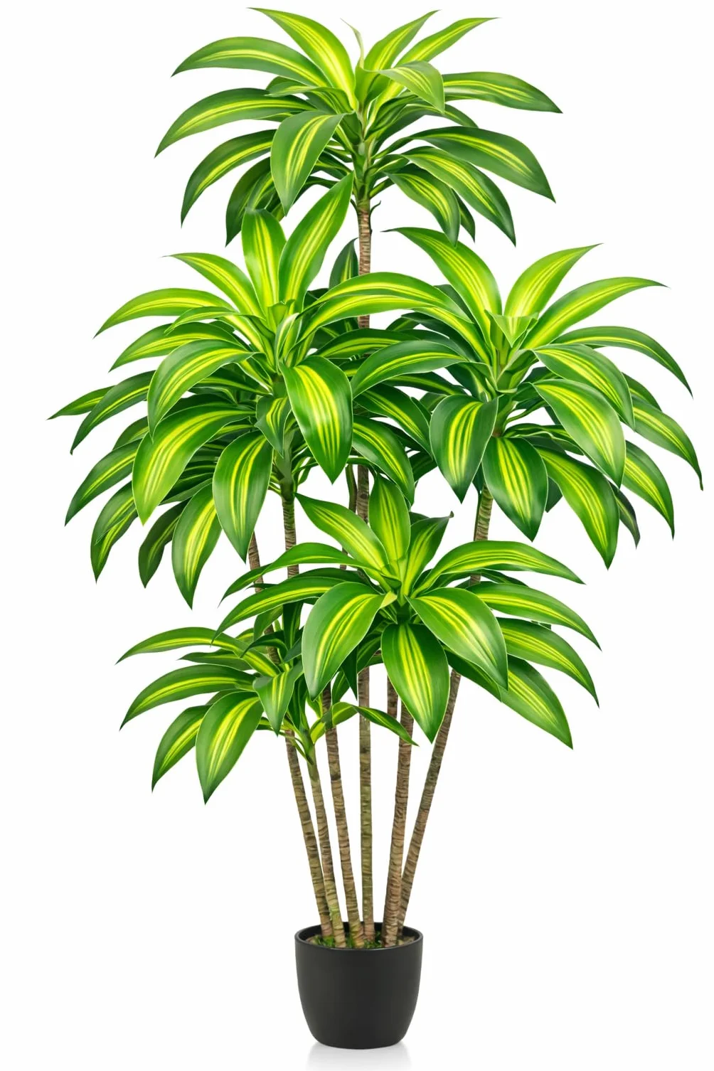 Palmier artificiel 160 cm Dracaena Pot PASCH Plante artificielle