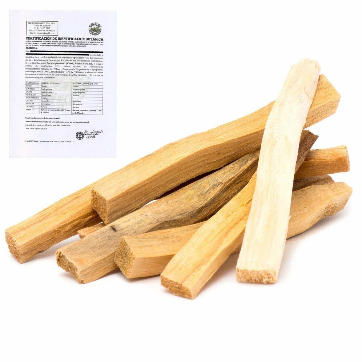 Palo Santo bâtonnets encens Fumigation Purification 100% Naturel Pérou 10x1cm 5 bâtonnets
