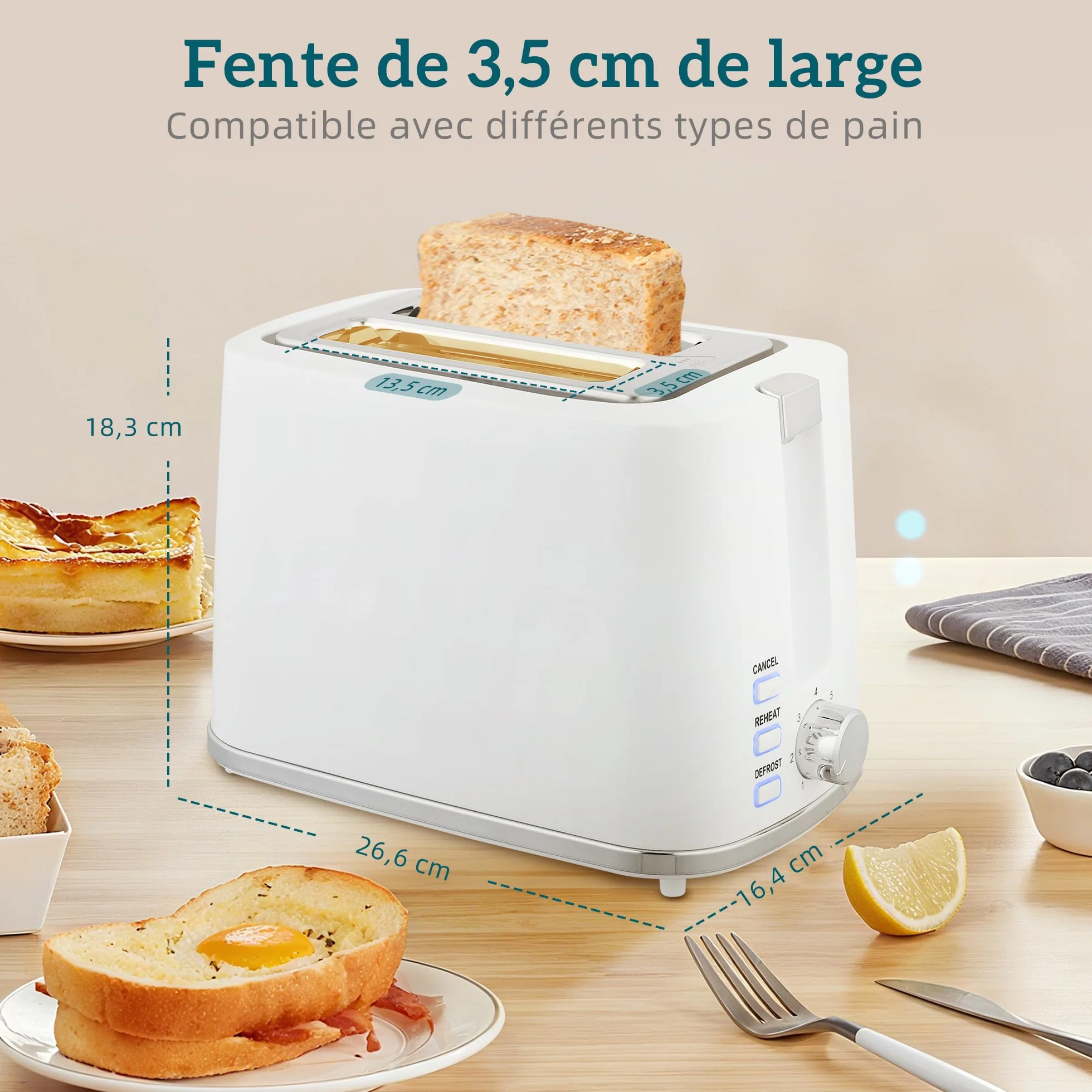 HOMCOM Bouilloire et Grille-Pain Acier 2200W 1,7L Thermostat Otter Filtre Anti-Calcaire 2 Fentes 7 Réglages Brunissage Blanc