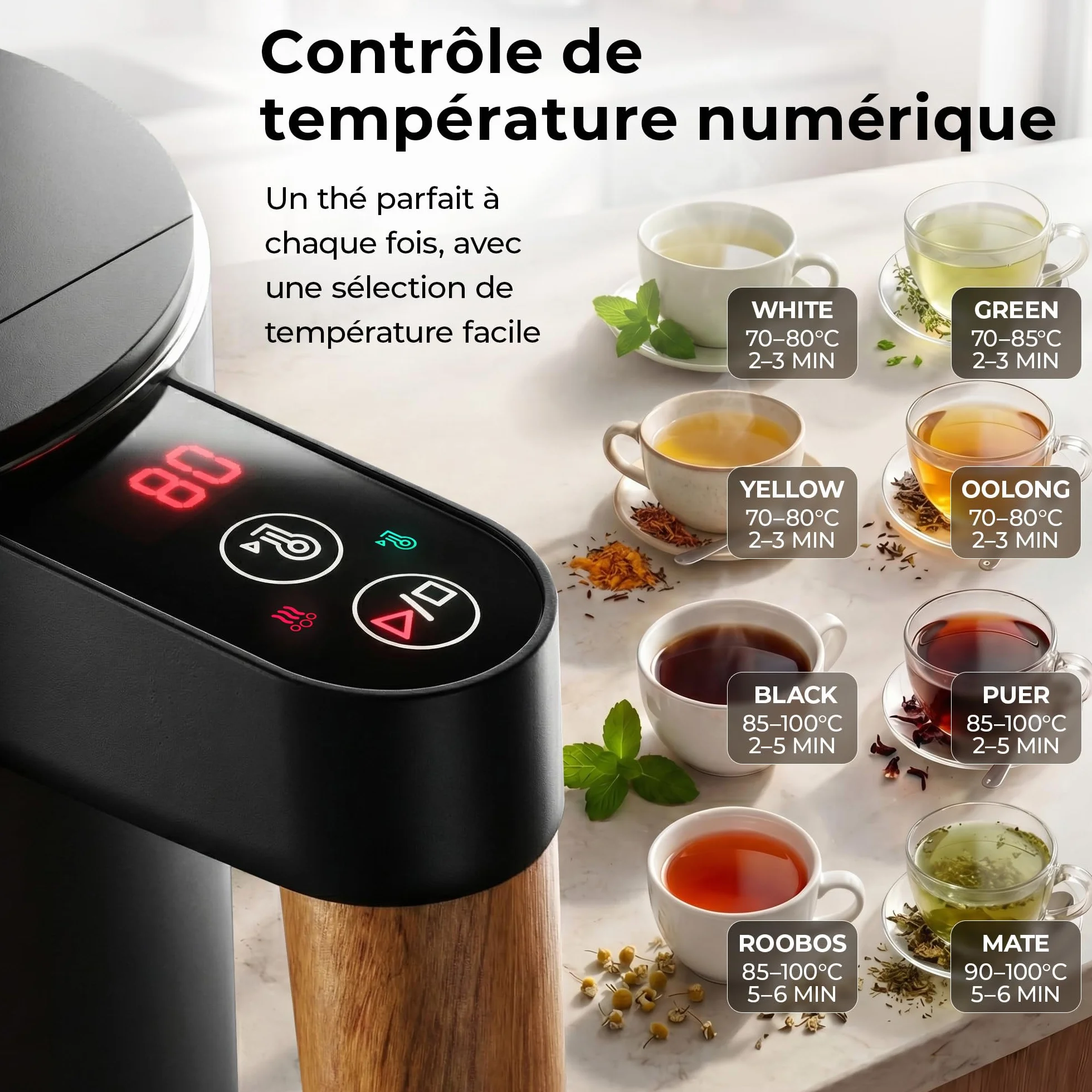 BALTER Bouilloire électrique inox 1,5 L température réglable 45-100°C double paroi sans BPA