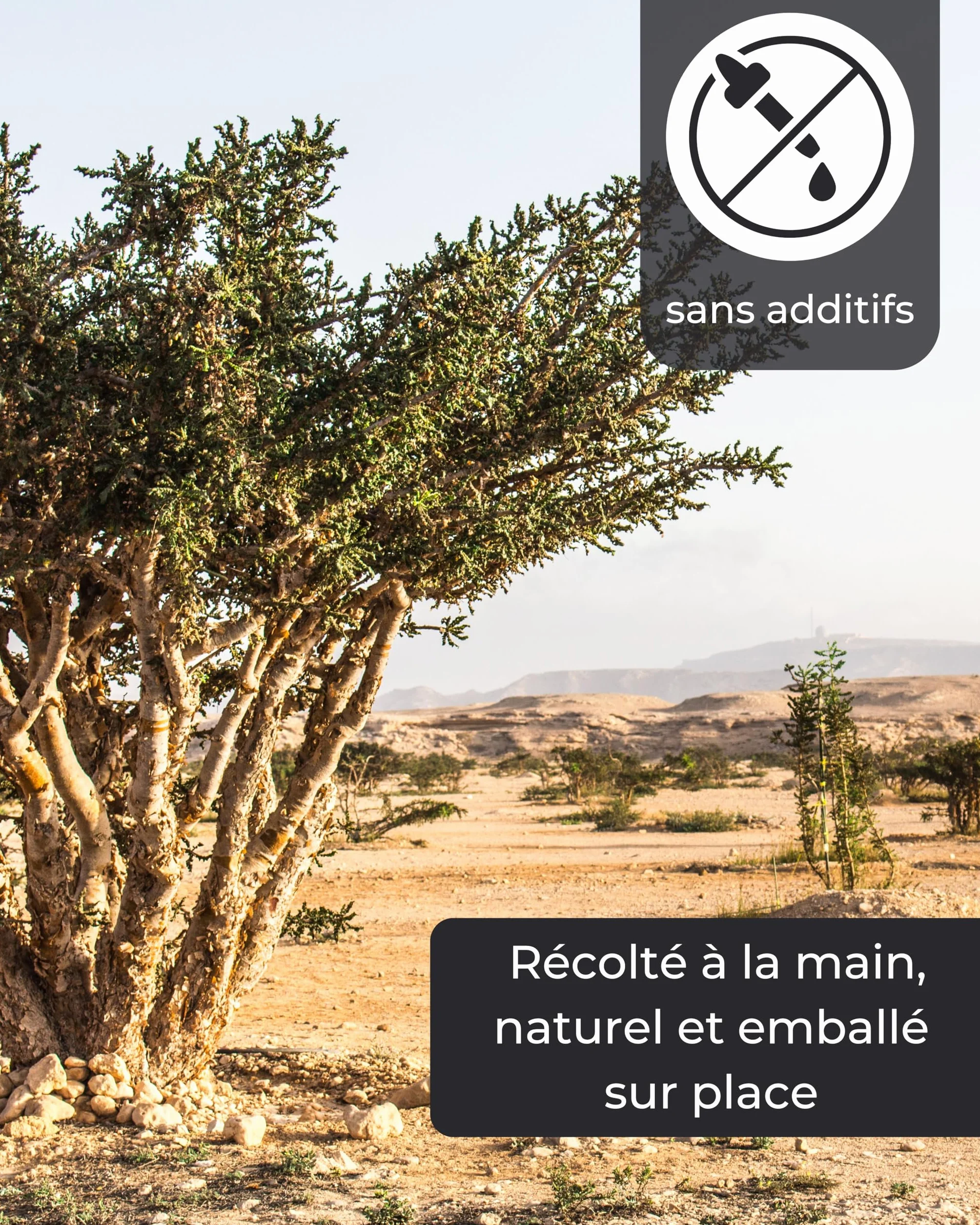 Encens Naturel en résine Boswellia Papyrifera 50g - Oliban éthiopien pour Purification