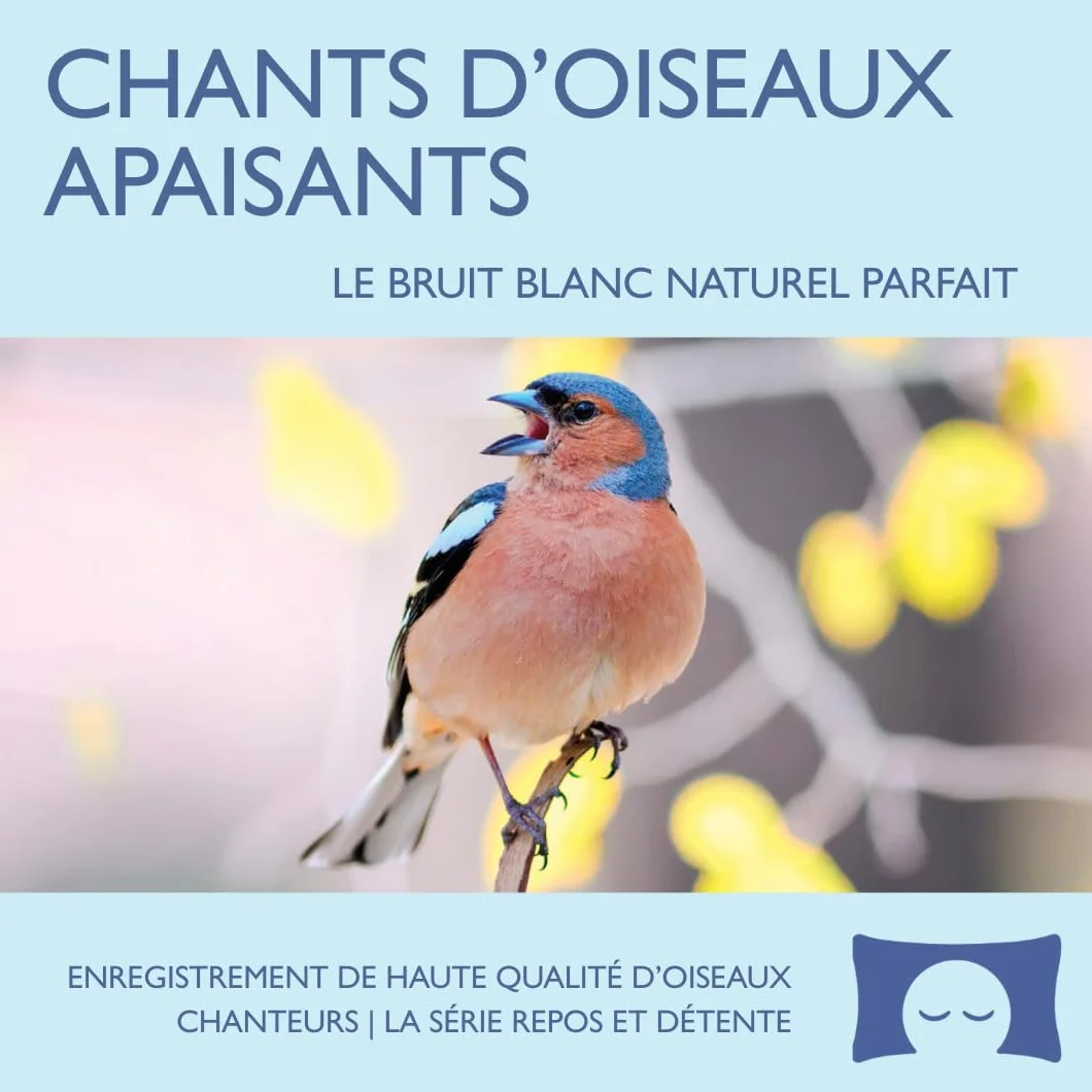 Chants d’oiseaux apaisants – Enregistrement pour méditation, relaxation, bruit blanc naturel