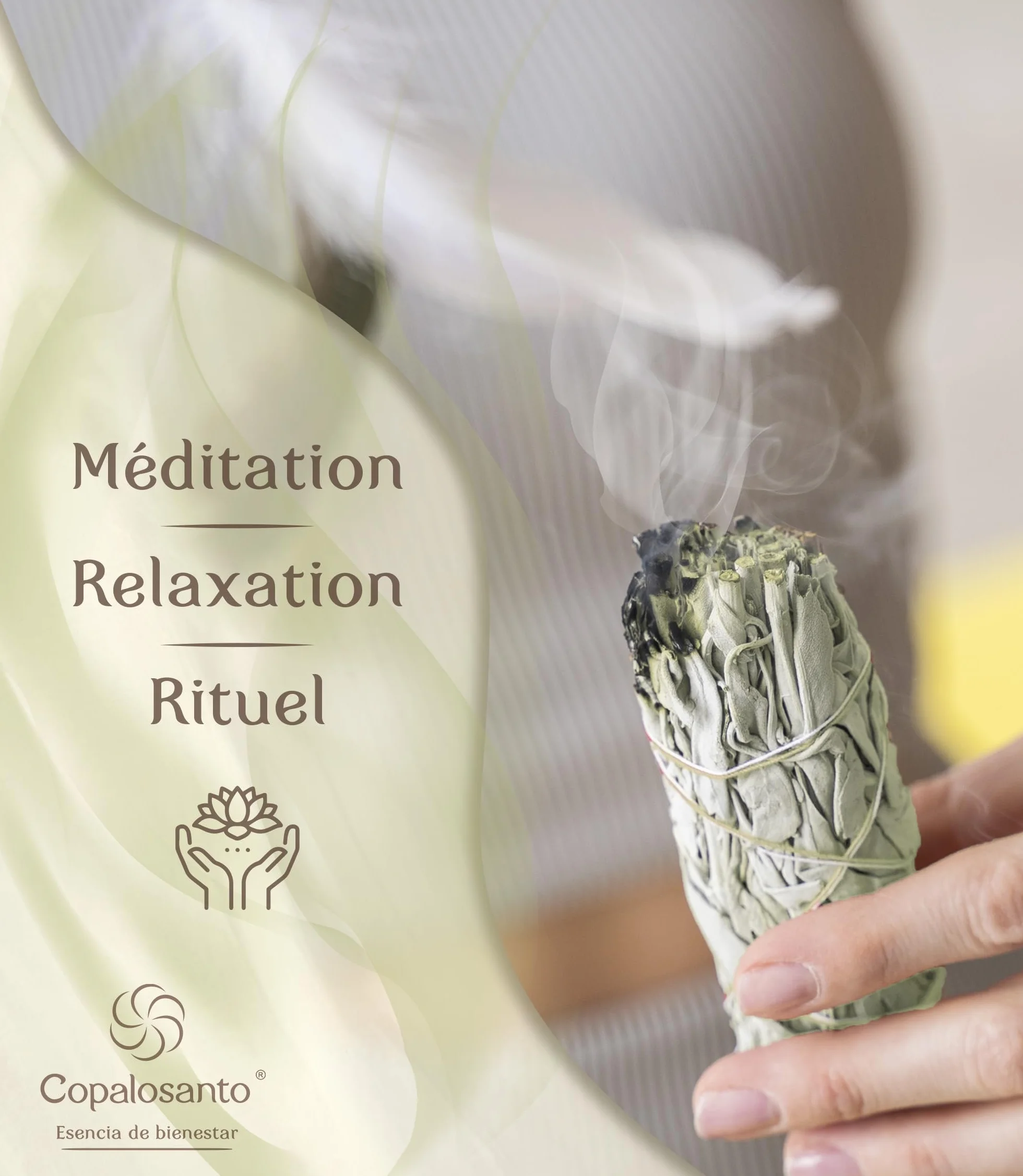 Sauge Blanche Bâton Encens Naturel Purification Protection Nettoyage Spirituel Maison Rituel Méditation Lot 4