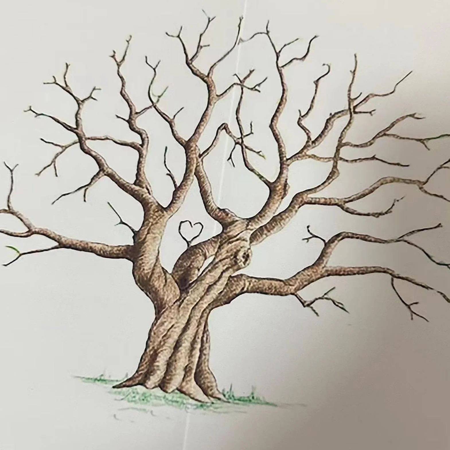Arbre Empreinte Toile Livre d'or Créatif Décoration Maison Mariage Événements