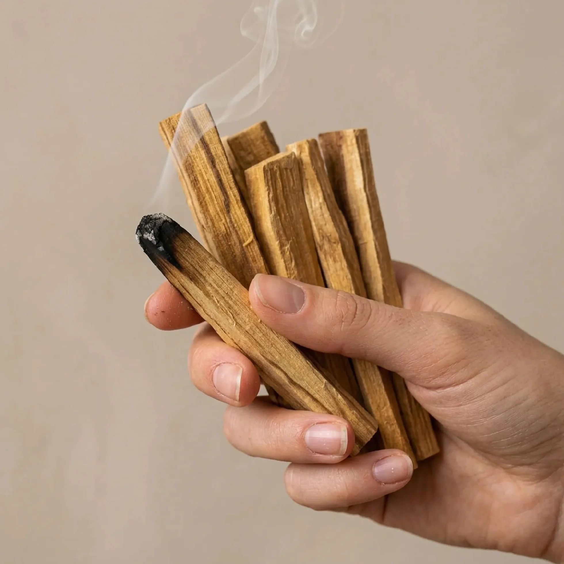 Coffret Sauge Blanche Purification Palo Santo Stick Encens Naturel Méditation Bougie Rituels 1 Sauge Blanche 1 Palo Santo