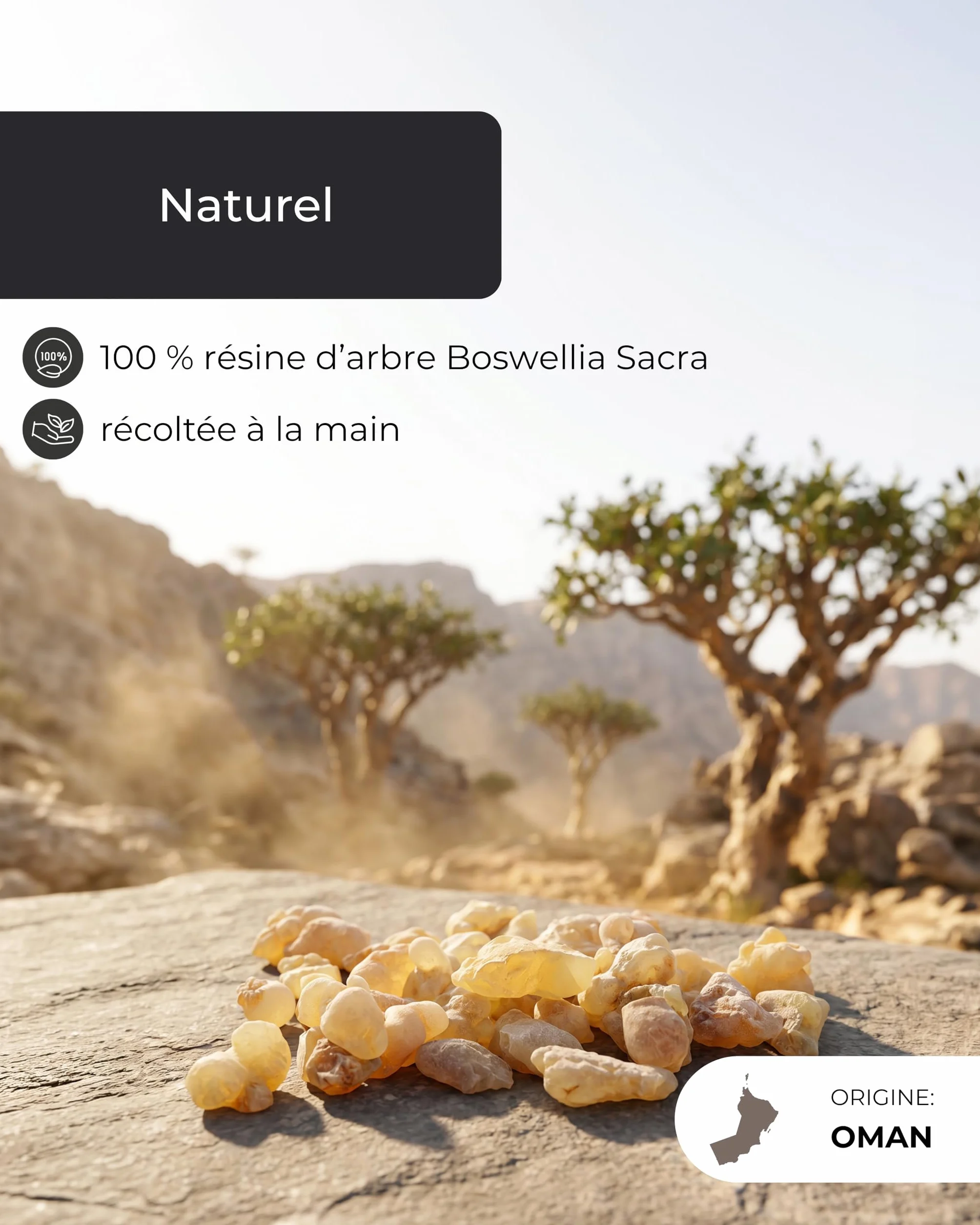 Incensera Oman 1er Choix Encens à Fumer 50 g Boswellia Sacra Frankincense Résine Caoutchouc Arabique