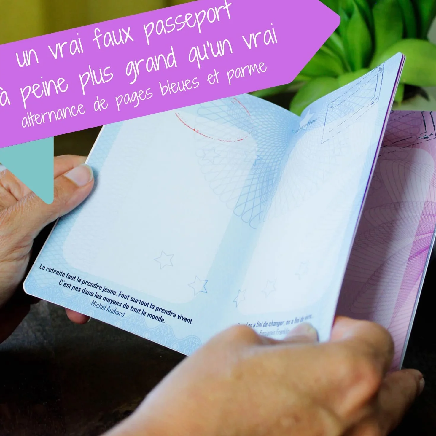 Cadeau Retraite Collègue Femme Homme - Passeport pour la Retraite - Carte départ en retraite - Décoration Anniversaire - Idée Cadeau Original - Un vrai faux passeport comme Livre d'Or