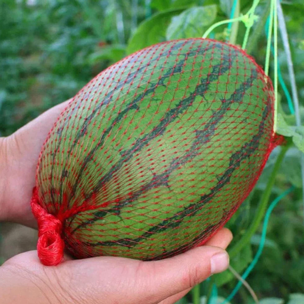 Sac en filet Réutilisable 200 Pièces Maille D'emballage Fruits Légumes Noix Épicerie Protection Plantation Rouge
