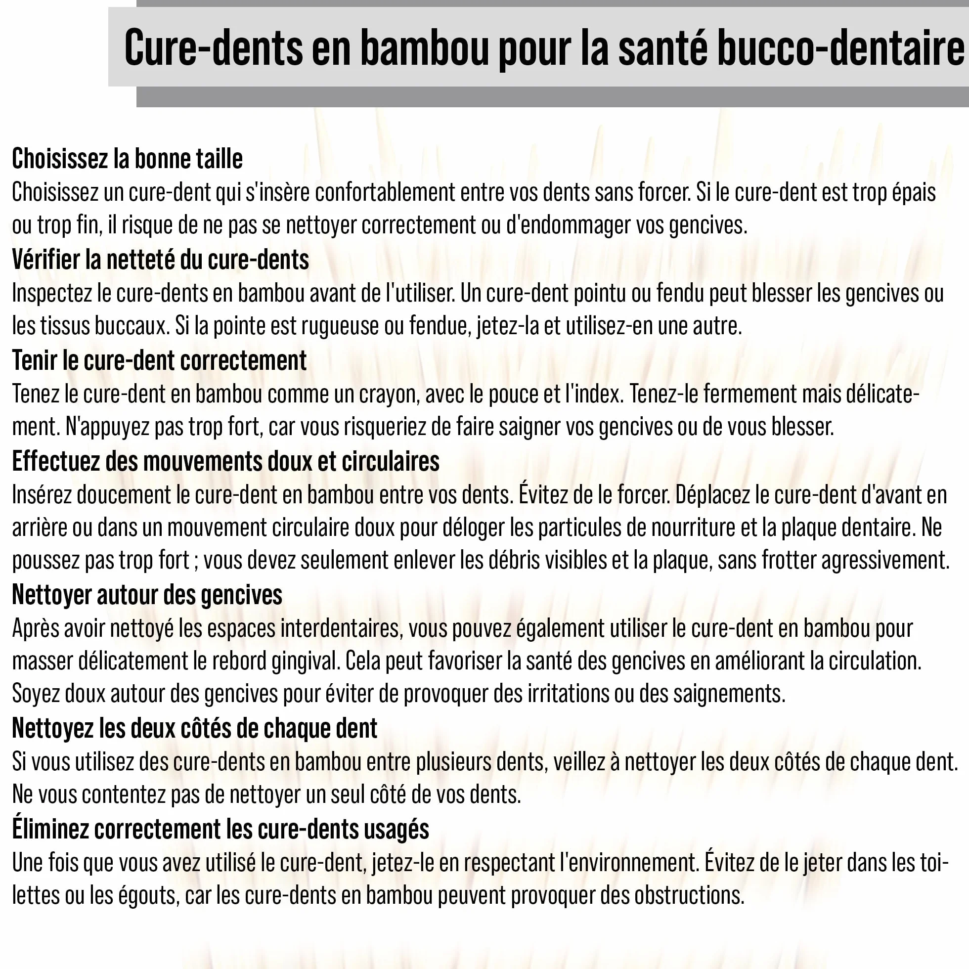 Cure-Dents en Bambou 1000 Pièces à Double Pointe - Bâtonnets Bois pour Apéritif Cocktail et Hygiène