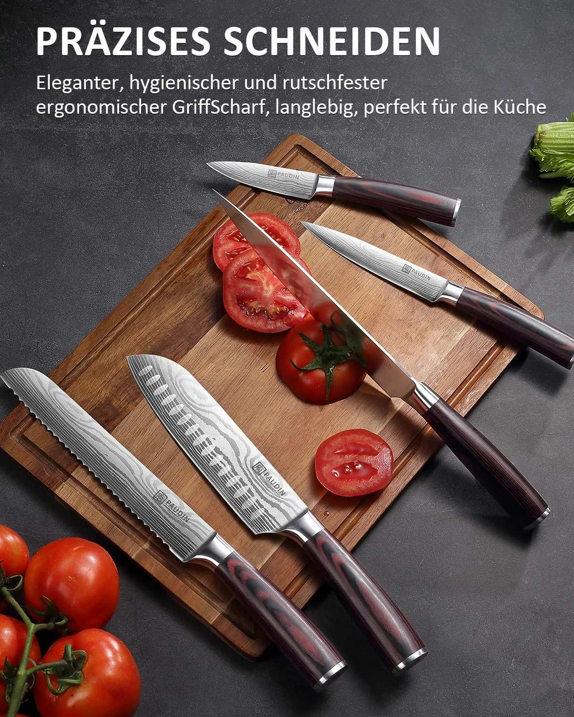PAUDIN Set Couteau Cuisine Professionnel 5 Pièces Acier Inoxydable Couteau Chef Santoku Bois