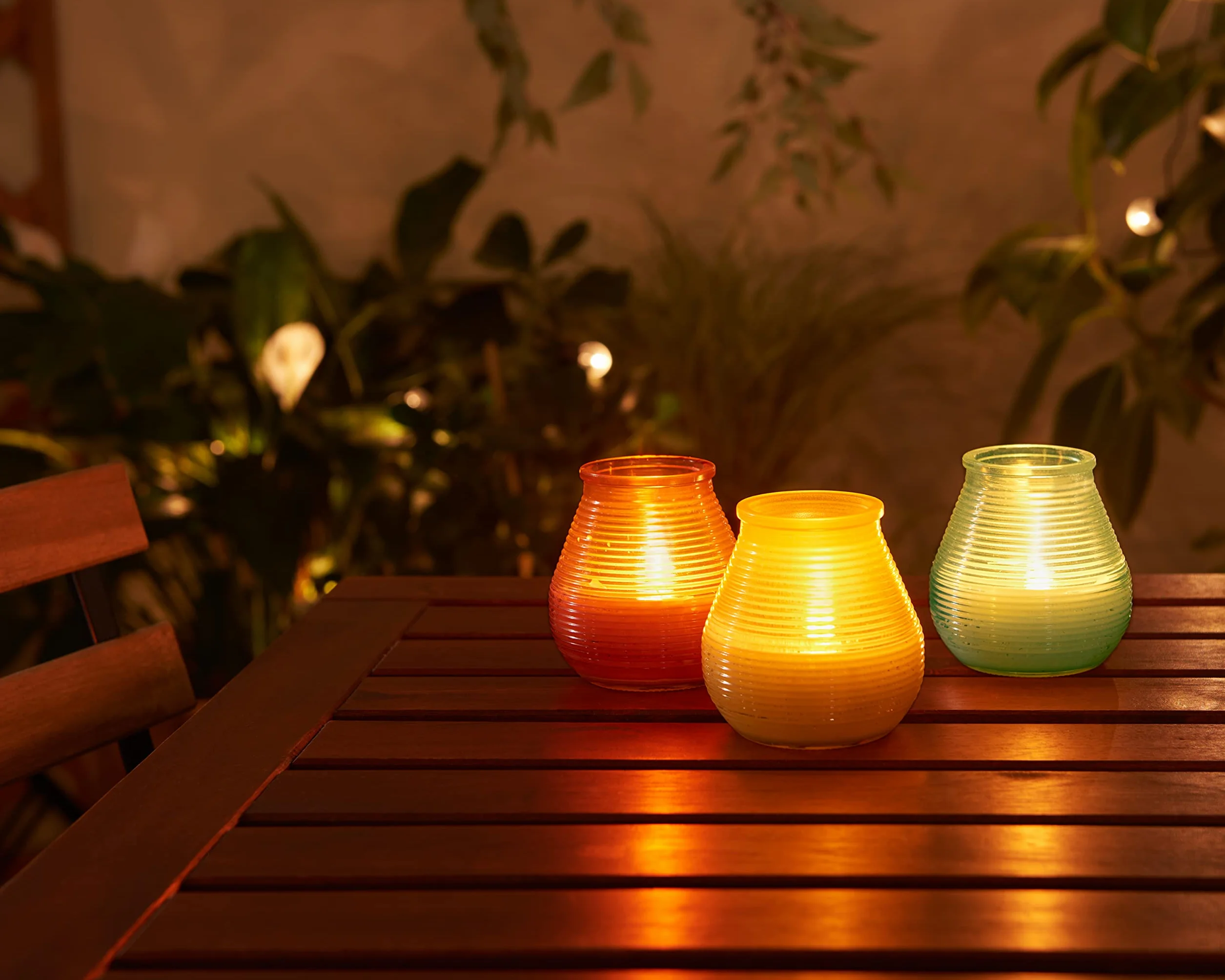 Bougie de patio Citronnelle BOLSIUS Lot de 6 40 heures de combustion Extérieur Vert