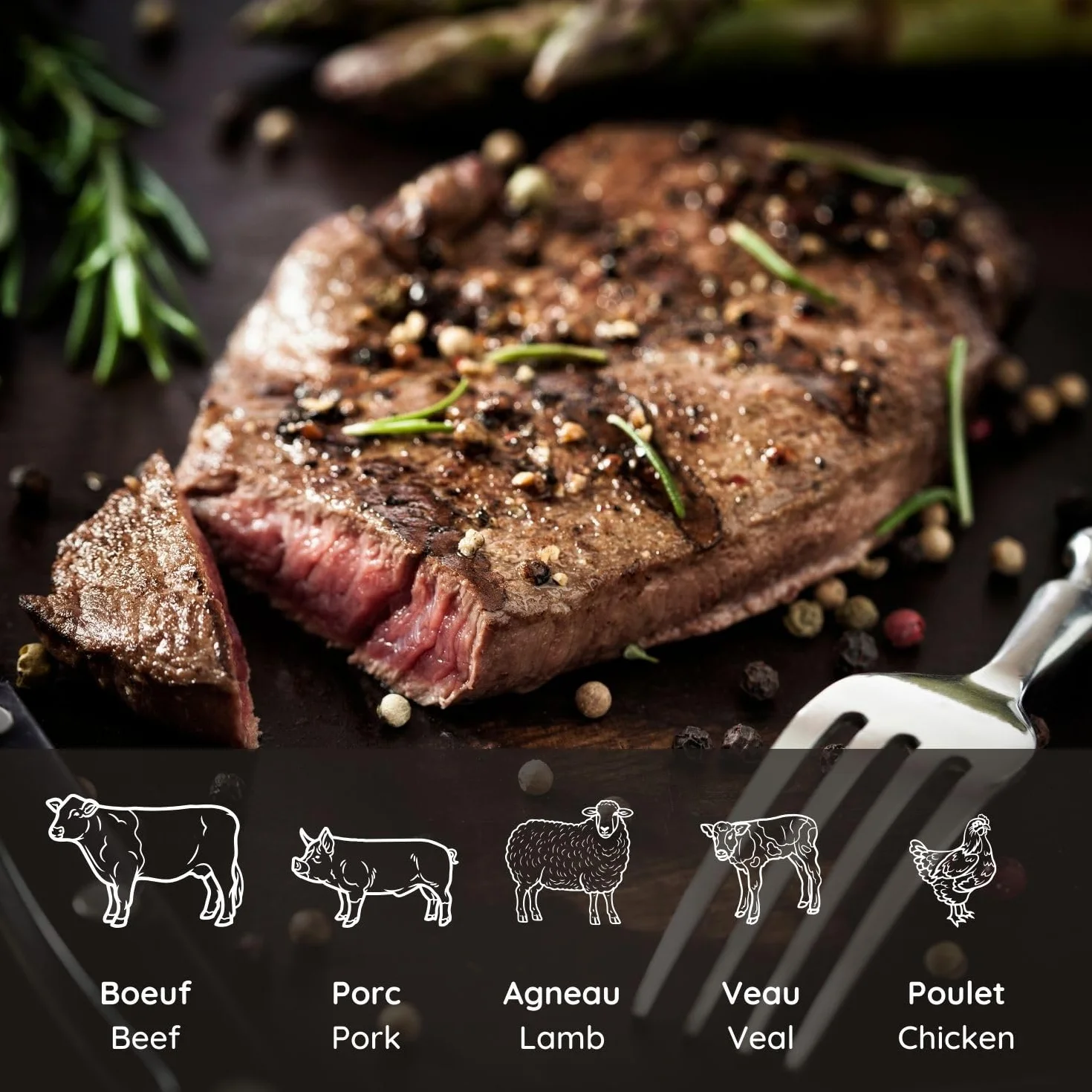 Mastrad Thermosonde De Cuisson m°classic+ Thermomètre Sonde 0-210°C Programmable Viande Cuisson Compatible Four BBQ Induction Alarme Temps Restant 1 Pile AAA