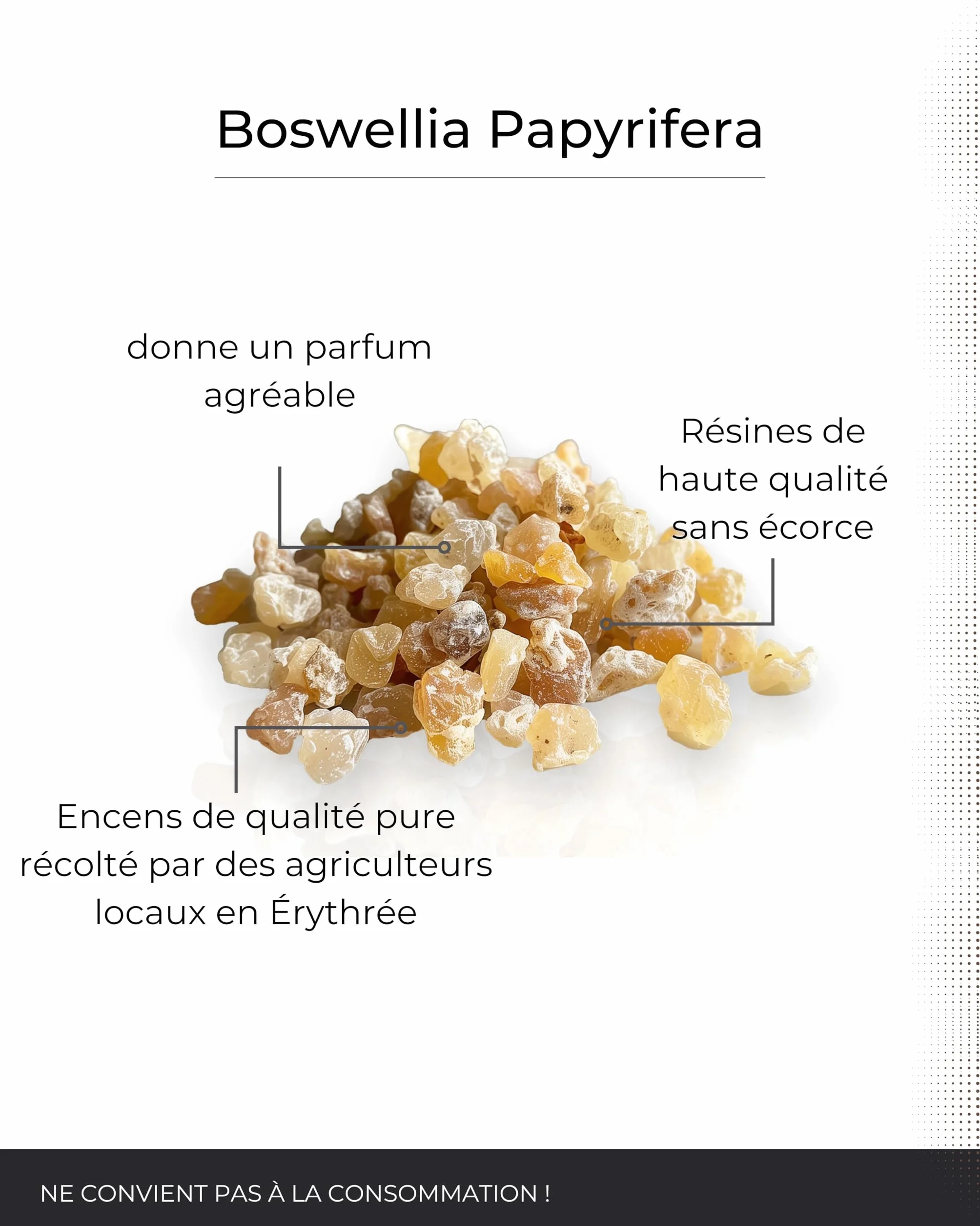 Encens Naturel en résine Boswellia Papyrifera 50g - Oliban éthiopien pour Purification
